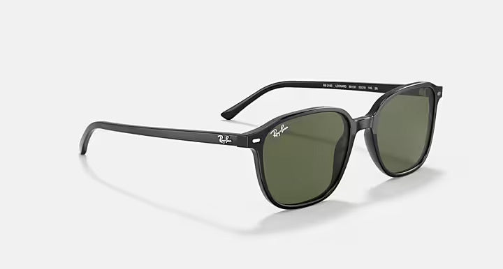 Ray-Ban LEONARD RB2193 901/31 - photo 3