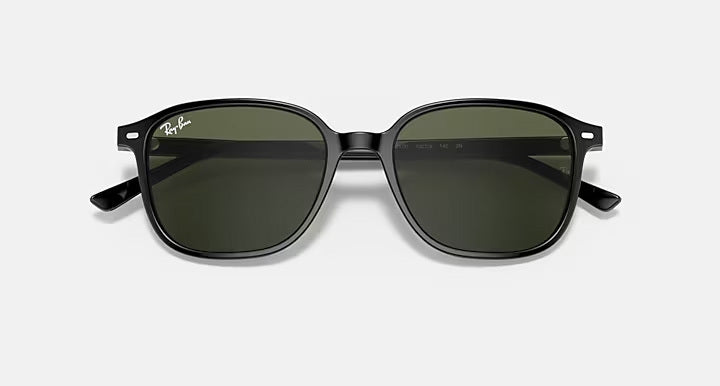 Ray-Ban LEONARD RB2193 901/31 - photo 5