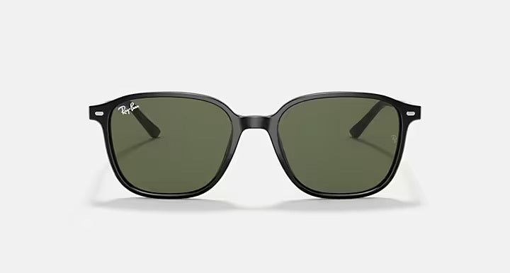 Ray-Ban LEONARD RB2193 901/31 - photo 2