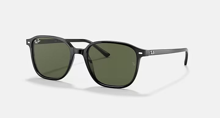 Ray-Ban LEONARD RB2193 901/31 - photo 1