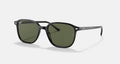Ray-Ban LEONARD RB2193 901/31 - photo 1