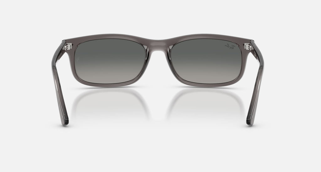 Ray-Ban RB2224 667571 - back view