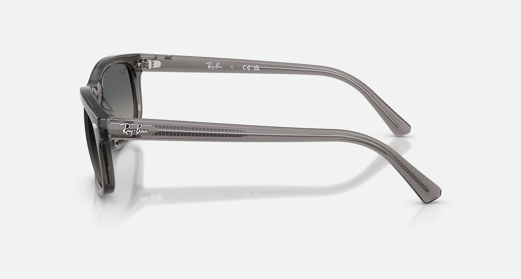Ray-Ban RB2224 667571 - side view