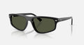 Ray-Ban RB2225 901/31 - quarter view