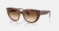 Ray-Ban DOREEN RB2286 141451 - photo 1