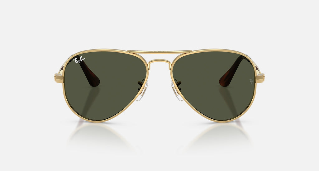 Ray-Ban RB3925 001/31 - front view