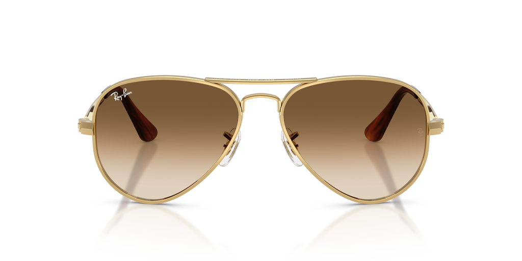 Ray-Ban RB3925 001/51 - front view