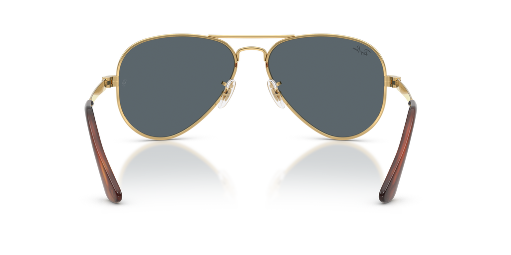 Ray-Ban RB3925 001/R5 - back view