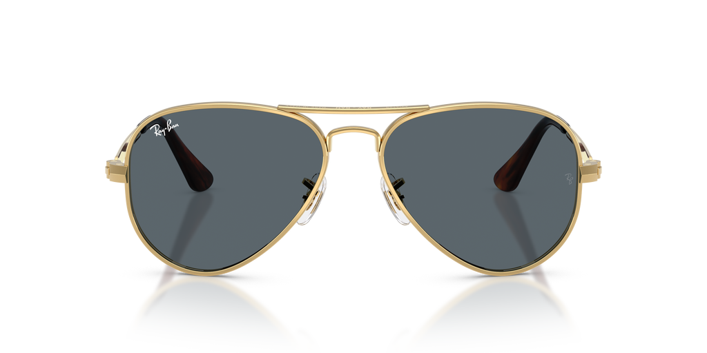 Ray-Ban RB3925 001/R5 - front view