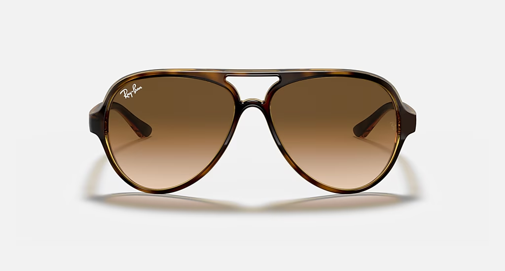 Ray-Ban CATS 5000 RB4125 710/51 - photo 2