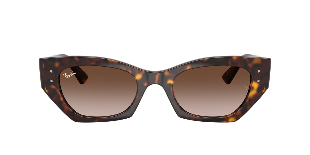 Ray-Ban ZENA BIO-BASED RB4430 135913