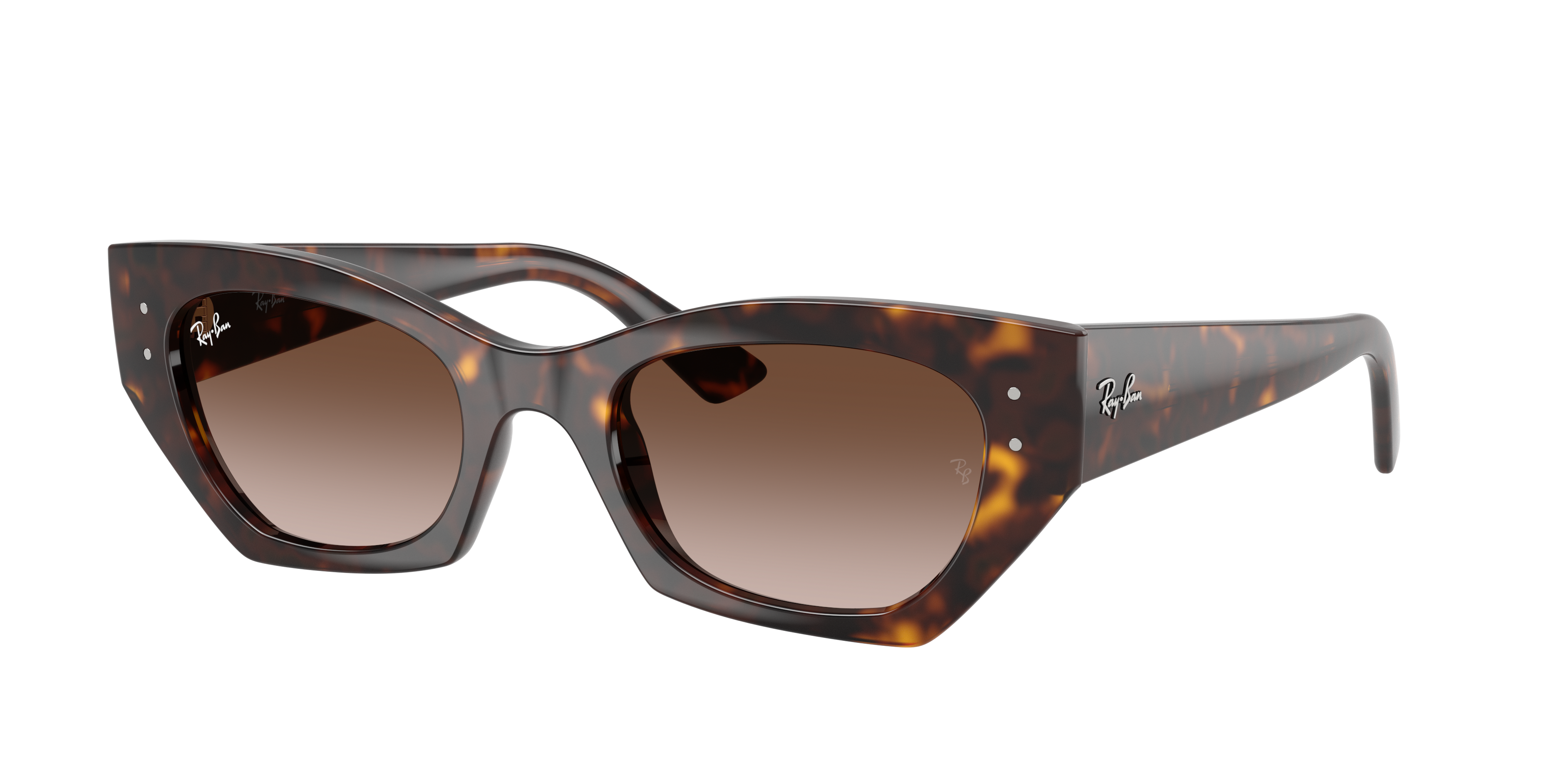 Ray-Ban ZENA BIO-BASED RB4430 135913