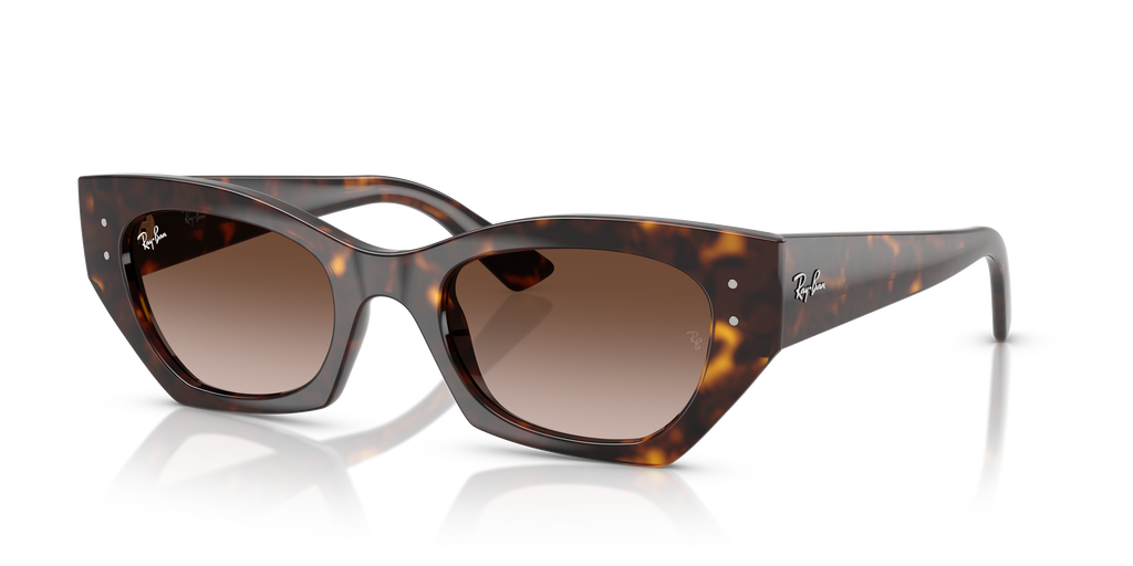 Ray-Ban ZENA BIO-BASED RB4430 135913