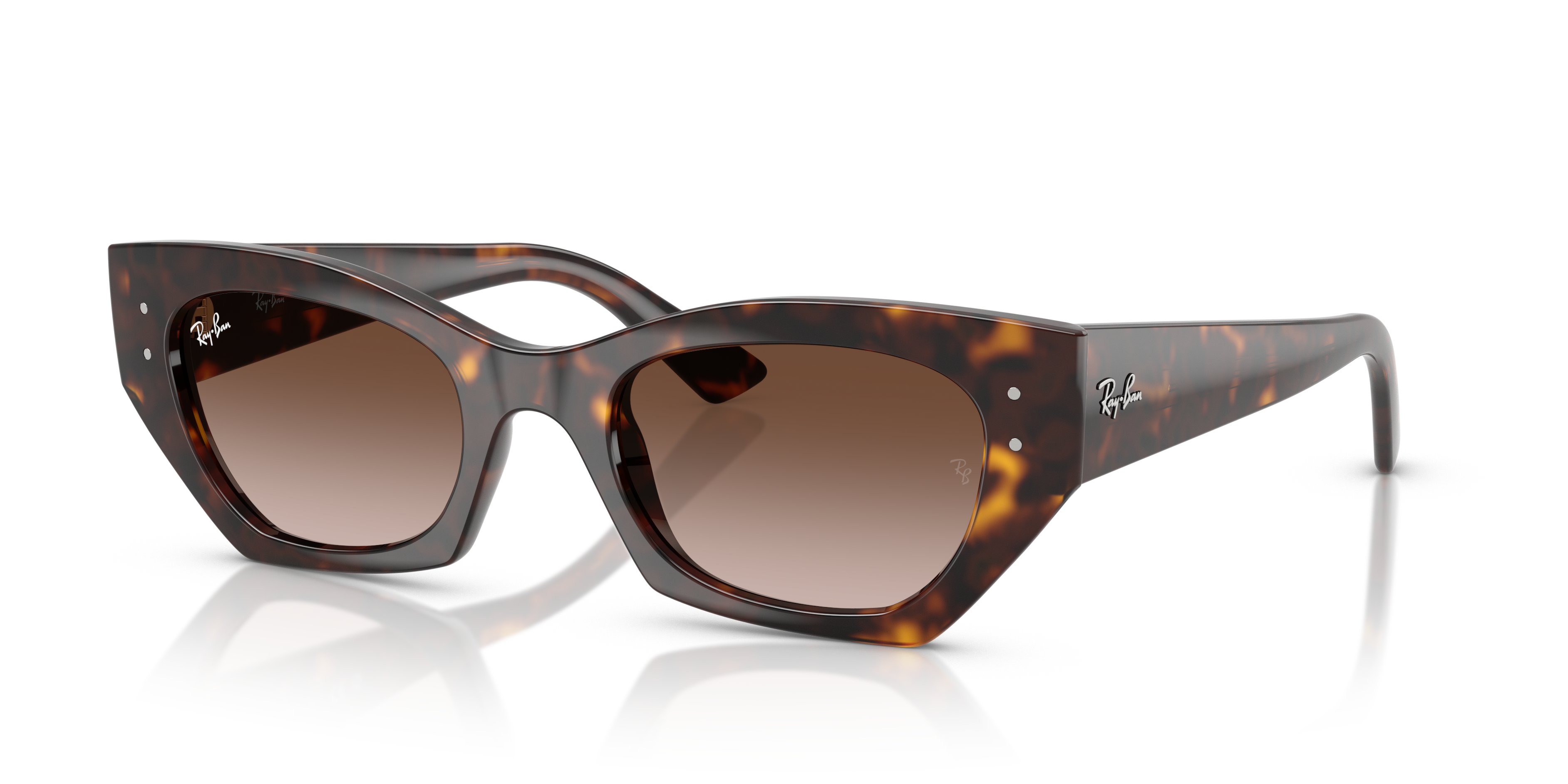 Ray-Ban ZENA BIO-BASED RB4430 135913