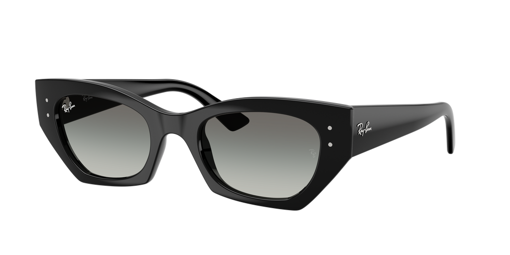 Ray-Ban ZENA BIO-BASED RB4430 667711