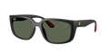 Ray-Ban RB4443M SCUDERIA FERRARI F60271