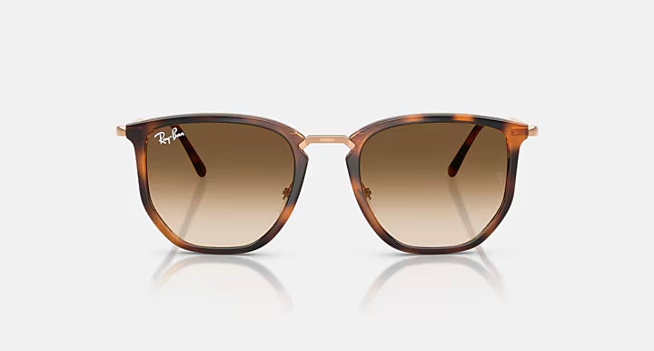 Ray-Ban RB4451 680451 - photo 2