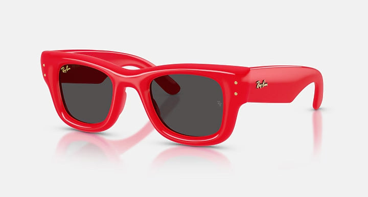 Ray-Ban WAYFARER PUFFER RB4940 683187 - photo 1