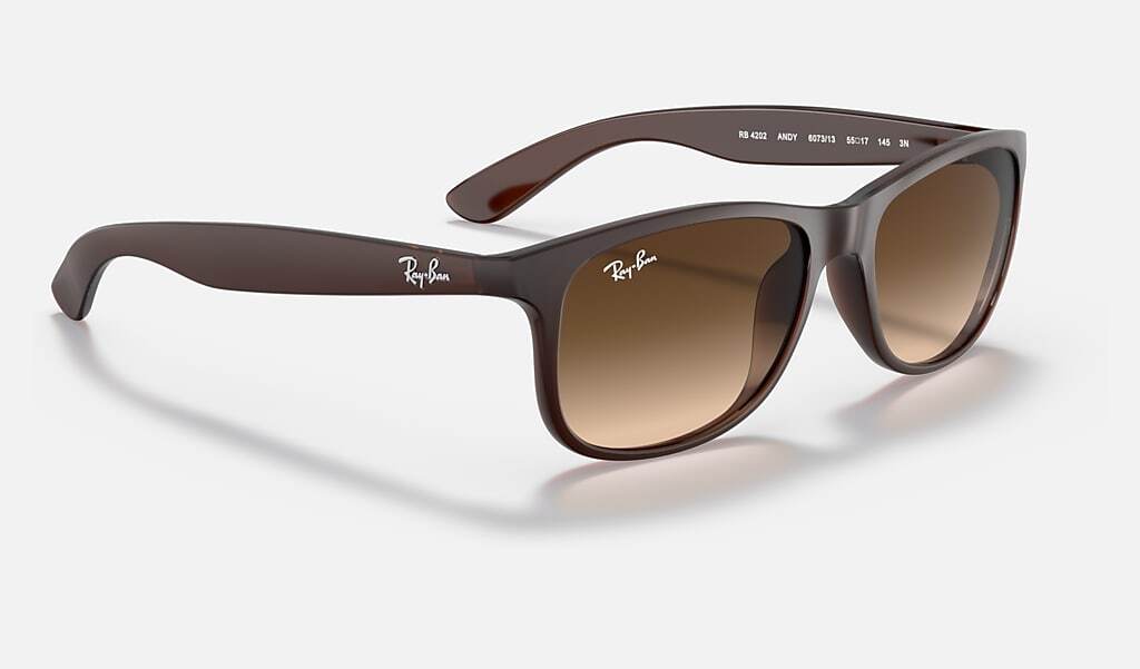 Ray-Ban ANDY RB4202 607313 - photo 3