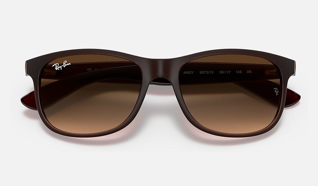 Ray-Ban ANDY RB4202 607313 - photo 6