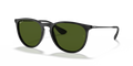 Ray-Ban ERIKA RB4171 601/2P