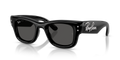 Ray-Ban WAYFARER PUFFER CRYSTAL EDITION RB4940B 686487