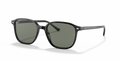 Ray-Ban LEONARD RB2193 901/58