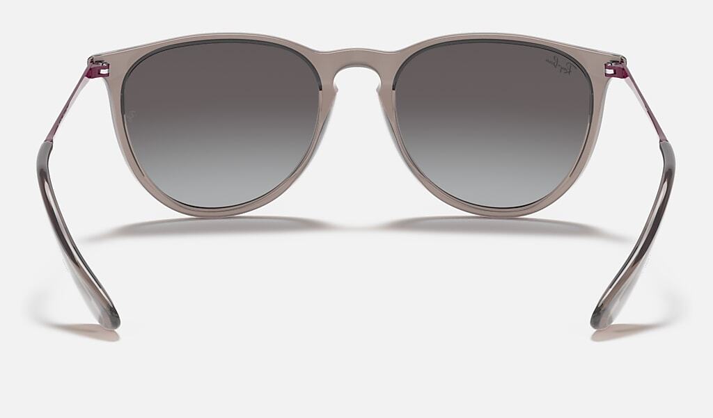 Ray-Ban ERIKA RB4171 65138G - photo 5
