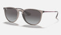 Ray-Ban ERIKA RB4171 65138G - photo 1