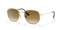 Ray-Ban HEXAGONAL RB3548 001/51