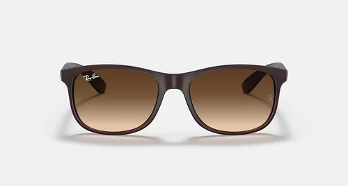 Ray-Ban ANDY RB4202 607313 - photo 2